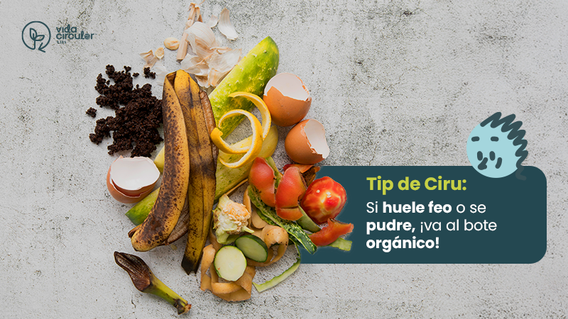 reciclaje orgánico e inorgánico