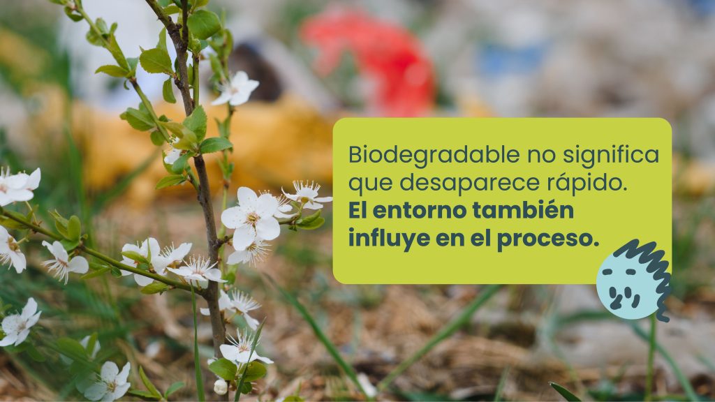 Material biodegradable en un entorno natural mostrando su proceso de descomposición